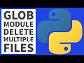 Python Beginners Programming - Delete Files - Glob Module 2023