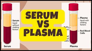 Serum vs Plasma | What’s the Difference?