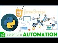 SELENIUM PYTHON FOR WEB AUTOMATION TEST AUTOMATION HOW TO RUN EXECUTE JAVASCRIPT CODE WITH SELENIUM