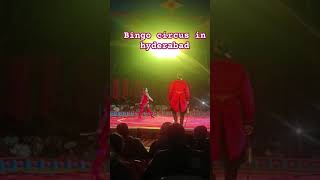 Dil na diya #trending #ytshorts #circus #doglover #viralvideo #music #viralshorts #live #like #vlog