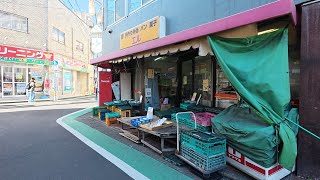 東京散歩　富士見台周辺【4K】【HDR】 Walking around Fujimidai Station