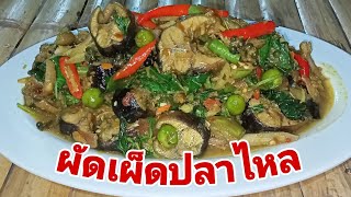 ผัดเผ็ดปลาไหล พริกแกงตำเองอร่อยจริงๆ #อาหารเหนือ EP.76 by ครัวลุงเจิด