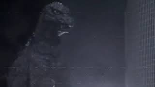 Godzilla vs King Kong