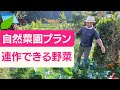 【自然菜園ミニセミナー26回】自然菜園プラン　連作できる野菜