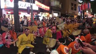 2019　神楽坂阿波踊り大会　第一勧信連　吹子連