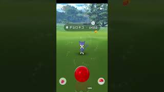 【きょうのおさんぽおこう】色違いチョロネコと自然遭遇!! 2023/07/24【ポケモンGO/PokémonGO】#Shorts