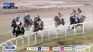 (Seoul) 2023.12.31 R11 Class 3 (1200M) Handicap