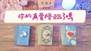 🔮你的真愛降臨了嗎？💐他是誰？💐你們是否已經相遇？💐你們的相遇有多浪漫，相處有多甜蜜？ |塔羅占卜|感情|愛情|桃花|脫單|下一任