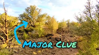 The Water Secret I Discovered On Our High Desert Landscape