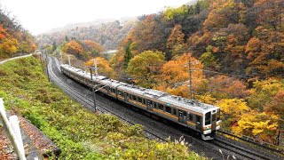 Autumn leaves and Japanese train on the Jo-etsu-Line