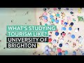 Learn about studying International Tourism Management at University | University of Brighton