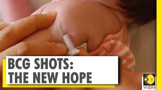 BCG vaccine slows down COVID-19 spread within the community | Explainer | WION | World News