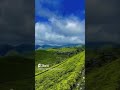 munnar vattakad signal point chokkanad tea estate munnar touriest places