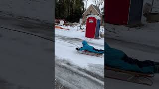 Leo sledding