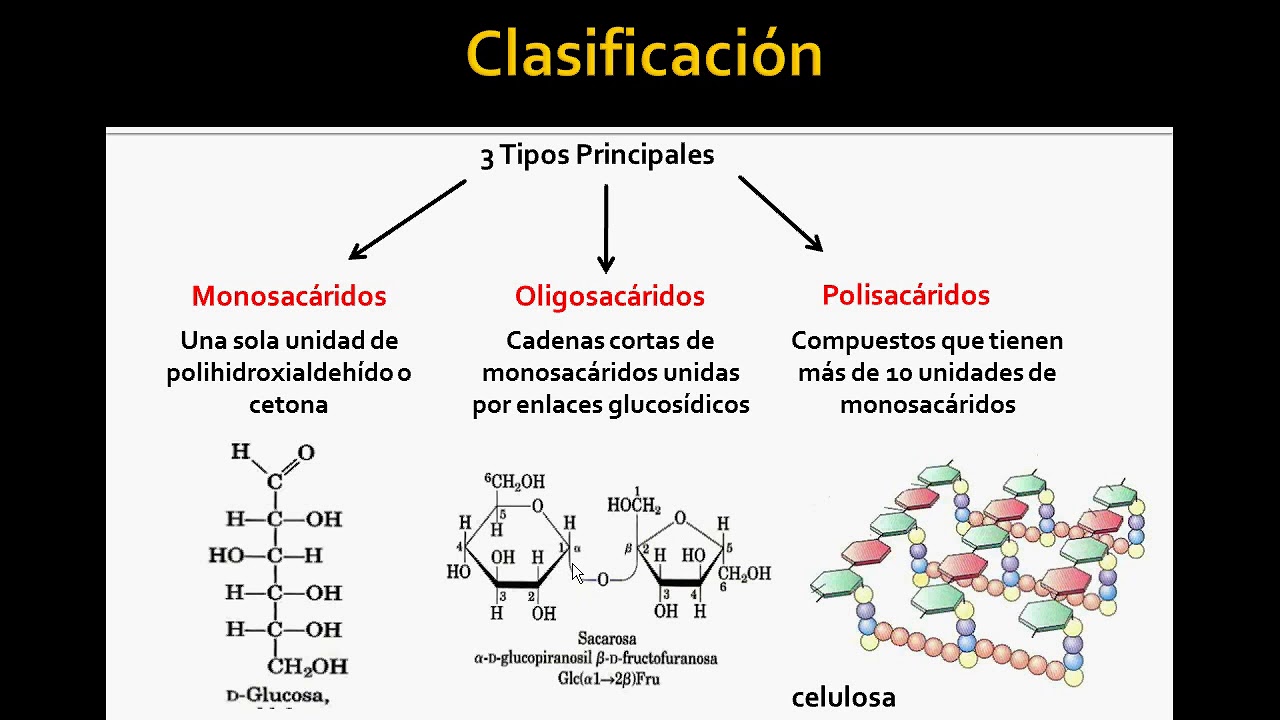 EJES TEMÁTICOS DE LA PRIMERA PARTE - Mind Map