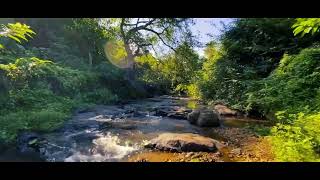 BLAPPILA WATERFALLS | PATHANAMTHITTA