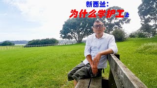 新西兰留学移民亲身经历（四）：为什么学护工（上）