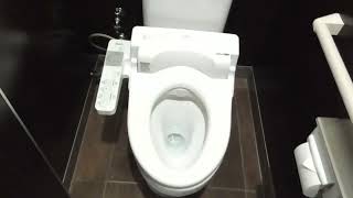 セブンイレブン 弘前桔梗野店　男性トイレ（青森県・弘前市）　WC Japanese Toilet　Flush