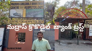 Madras Crocodile bank in Telugu మద్రాస్ క్రొకోడైల్ బ్యాంక్