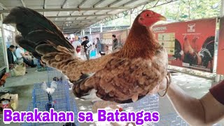 Jan. 04, 2025 Barakahan sa Batangas... Talagang dinarayo Ng mga seller at buyer...