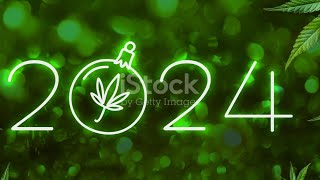 Top 10 Strains of 2024