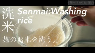 【麹本】#kojiforlife|洗米senmai:Washing rice