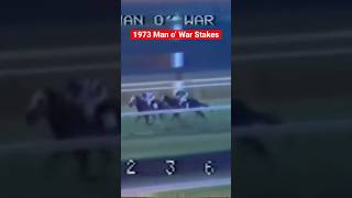 Relive SECRETARIAT's Dominance In The 1973 Man O'War Stakes #horseracing #secretariat #shorts