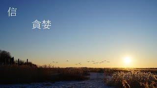 靈修:信-貪婪 20221220