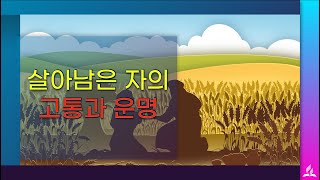 [화요저녁예배] 실시간방송예배 | 24.12.31 | 김주성목사