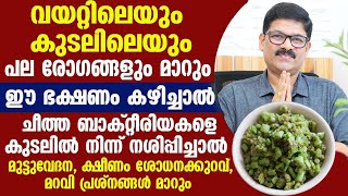 വയറ്റിലെയും കുടലിലെയും ഒട്ടുമിക്ക പ്രശ്നങ്ങളും മാറും ഈ ഭക്ഷണം അൽപ്പം ദിവസവും കഴിച്ചാൽ /Dr Shimji