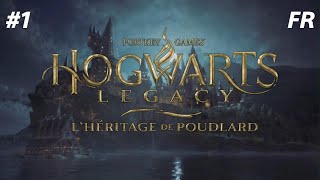 Hogwarts Legacy #1 OHH MY GOD [FR]