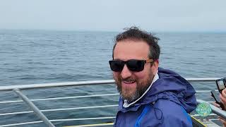 New England EcoAdventure's Ultimate Whale Watch