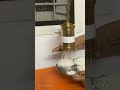 easy idiyappam maker holder