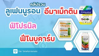 คลิปรวมสารกำจัดแมลง 2 พลังบวก ลูเฟนนูรอน /อีมาเม็กติน  /ฟิโปรนิล/ฟีโนบูคาร์บ