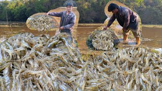 หมายนี่บ่ผิดหวังกุ้งขาวตัวใหญ่ๆงามๆดิ้นซวดๆ#หมานกุ้งหมานปลาครับ11/กพ/68