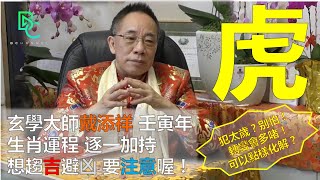 【虎】壬寅虎年生肖運程特輯2022 - 戴添祥大師 | BChannel 斜棟資訊平台