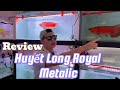 Quá rẻ so với Chất Lượng...Phẩm chất tuyệt vời . Huyết Long Royal Red Metalic Indo