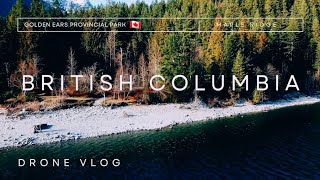 A view from above: North Beach at Alouette Lake in Maple Ridge, British Columbia, #🇨🇦 #drone #4k