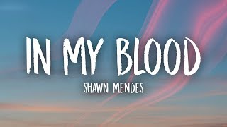Shawn Mendes - In My Blood Lyrics
