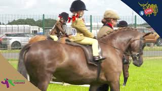 D3 S5 YOUNG FARMER ABBY FORSYTH - SHOW HUNTER PONY, LED REIN \u0026 FIRST RIDDEN AT ROYAL HIGHLAND SHOW