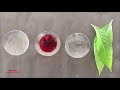 Adhatoda vasaca Leaf Section Cutting | How to Do Section Cutting & Microscopy of Leaf (ENGLISH)