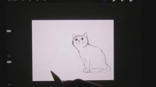 iPadでASMRお絵描き配信＃7　猫の日なので猫のイラストを描きます