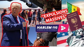 ⚠️ 🚨EXPULSIONS MASSIVES AUX USA : Maître Cire Camara RÉVÈLE TOUT ! 😱🇺🇸