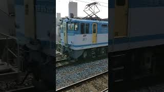 EF65形2127号機通称カラシ過去の動画から。