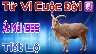 Lời Tiên Tri Cuộc Đời Ất Mùi Sinh 1955 - Sau 71 Tuổi - Hưởng Phúc Lộc Trời Ban, Giàu Sang Tột Đỉnh!