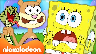 30 Minutes Of SpongeBob & Sandy’s TREEDOME TROUBLE | Nickelodeon Cartoon Universe