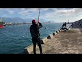 2018.5.6花蓮港東堤釣遊.磯釣竿釣起巨大黑豬哥.磯釣.路亞taiwan hualien fishing