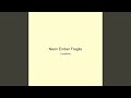Neon Ember Fragile