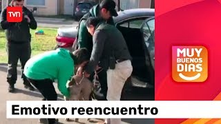 ¡Final feliz! El emotivo reencuentro de Luisa y su tierno perrito | Muy buenos días