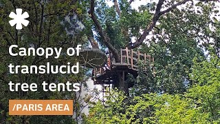 Bubble hotel atop a forest canopy near Paris